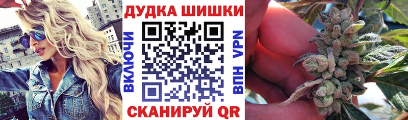  COCAIN Южно-Сухокумск