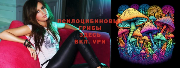 твердый Россошь