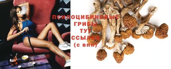 не бодяженный Приозерск