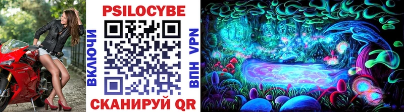 Псилоцибиновые грибы Cubensis  Купить закладки  Южно-Сухокумск 