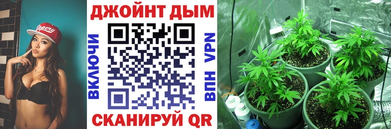 МАРИХУАНА планчик  Купить где  Южно-Сухокумск 